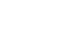 Lead Think Deliver